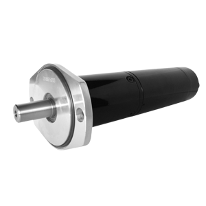 ֱ�����ٵ��